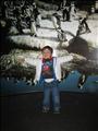 2008-05-11 10-01-58_0052